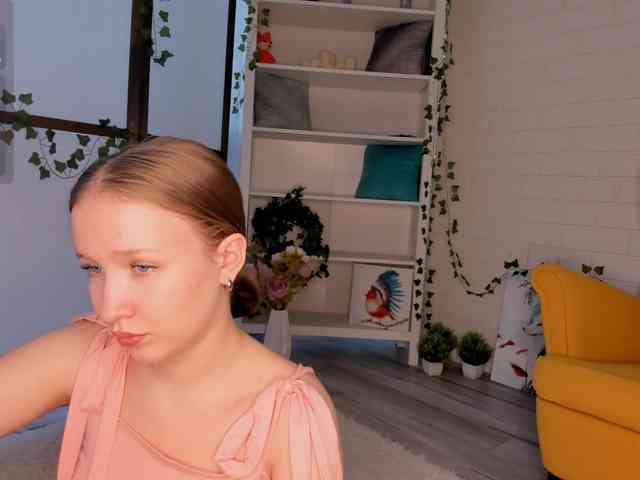 EvaSweet webcam