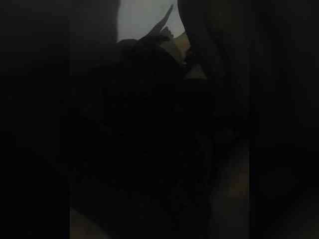 LilitVA webcam
