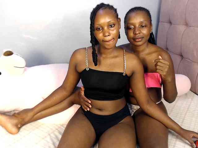 Veecatch webcam