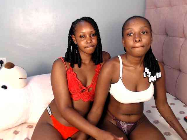 Veecatch webcam