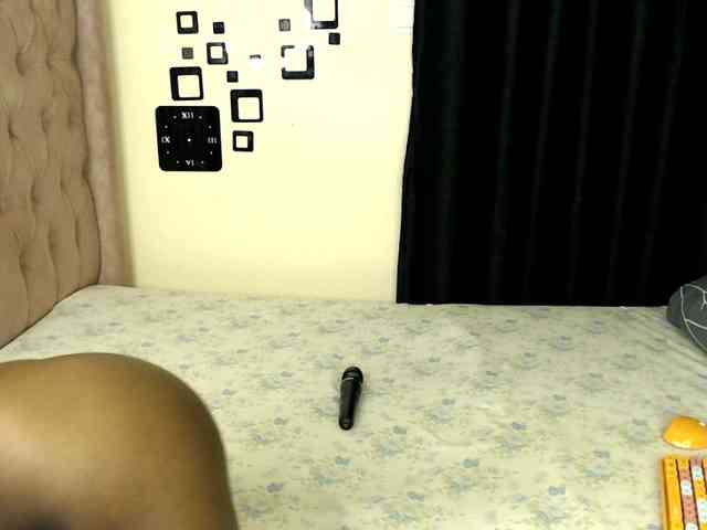 Veecatch webcam