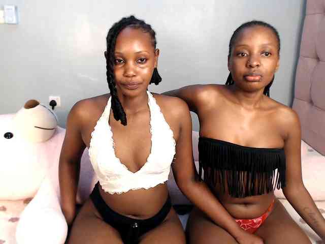 Veecatch webcam