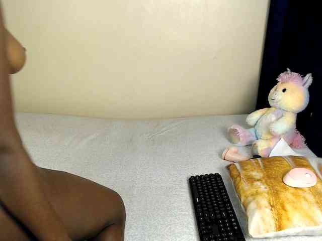 Veecatch webcam