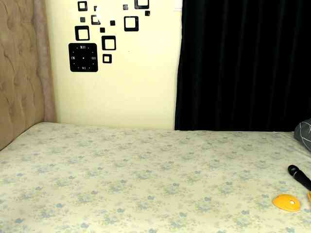 Veecatch webcam
