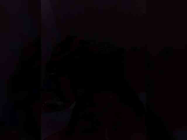 Gracieno webcam