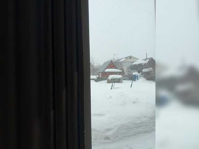 Alinagilberd03's BongaCams show and profile