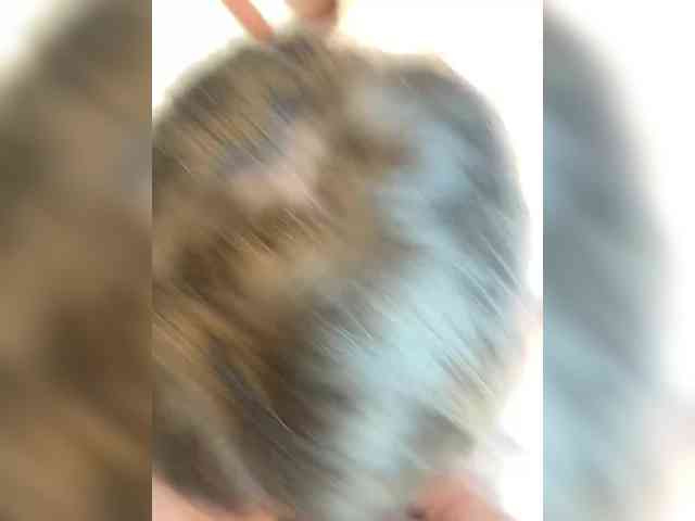 adult sex chat room Alinagilberd03
