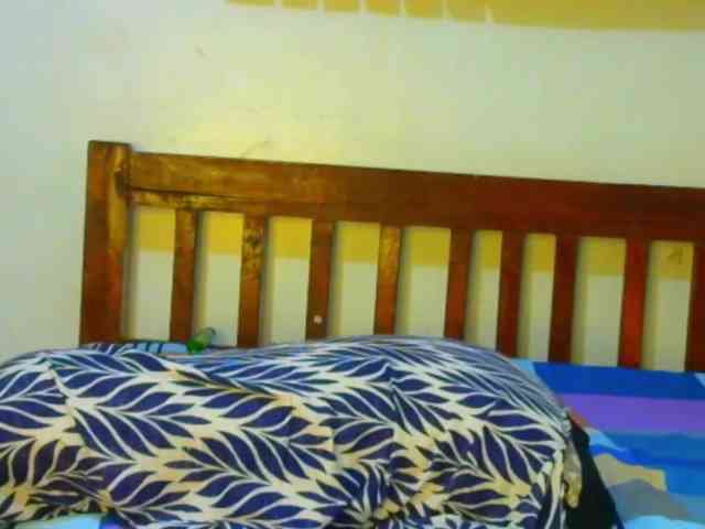 Blackpather959 webcam