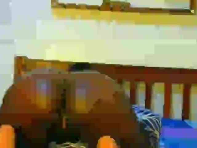 Blackpather959 webcam