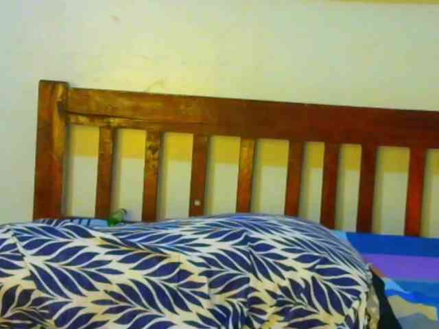 Blackpather959's webcam live show