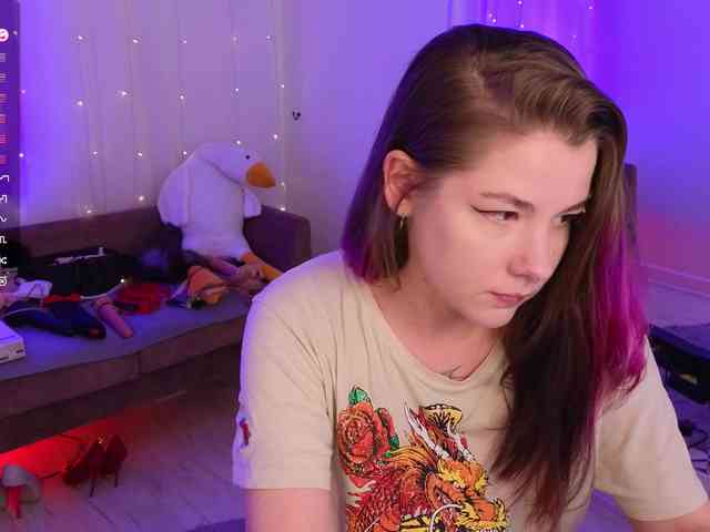 live webcam MiraFalls