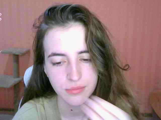 Модель: reaiss