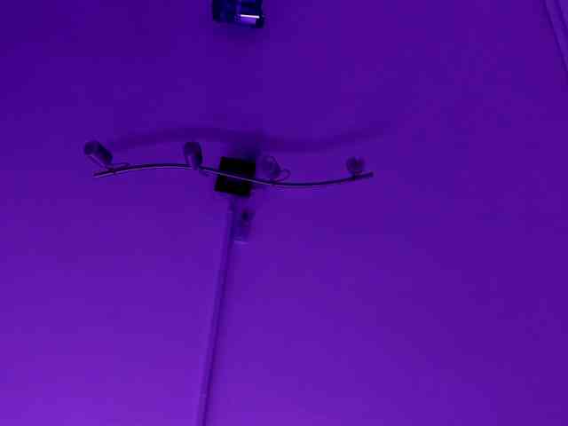 CatalinaCoopper webcam