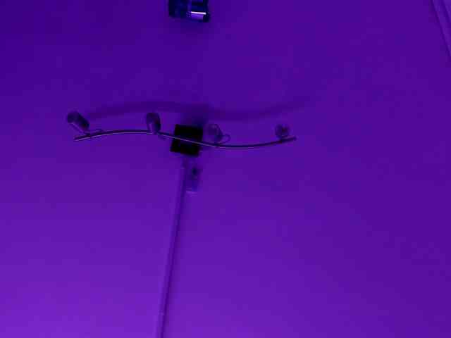 CatalinaCoopper webcam