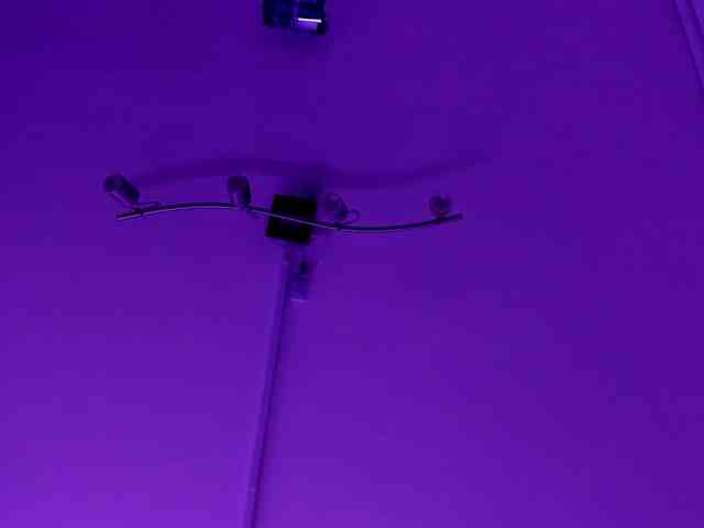 CatalinaCoopper webcam