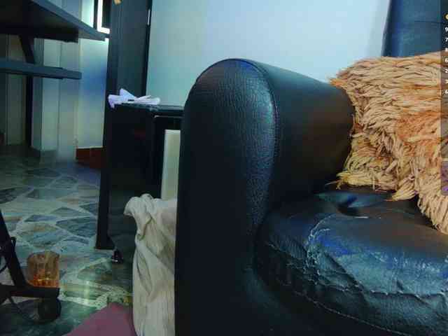 SofiiaMartinez webcam