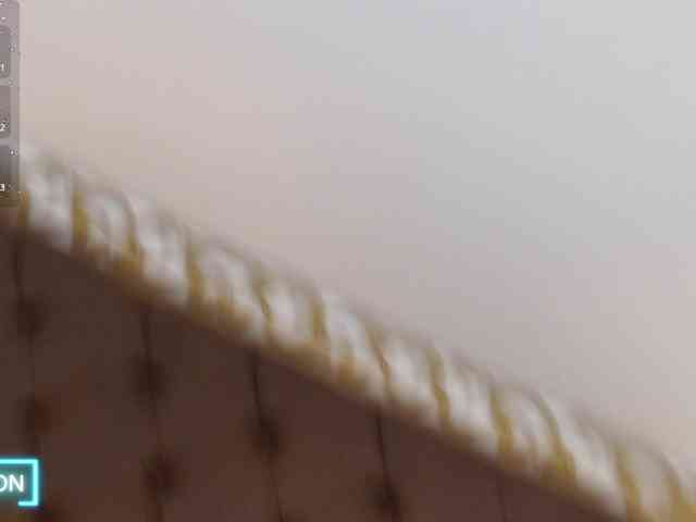 SofiiaMartinez webcam