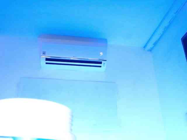 SofiiaMartinez webcam