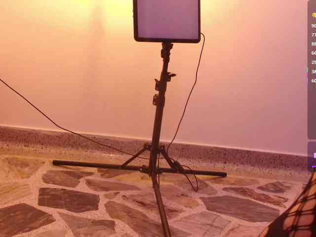 SofiiaMartinez webcam