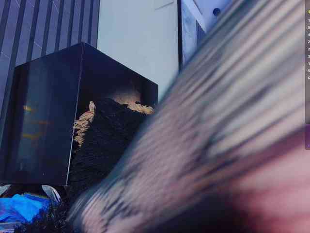 SofiiaMartinez webcam