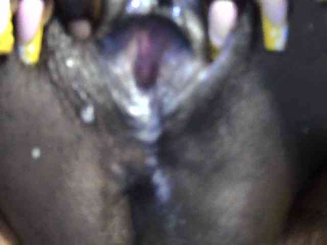Pettite-Diofa webcam