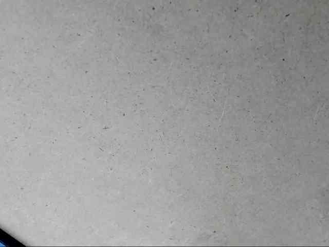Yuliana-Demon webcam