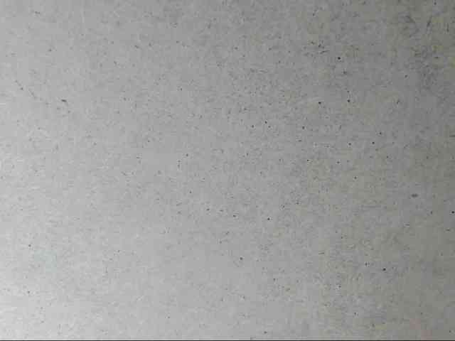 Yuliana-Demon webcam