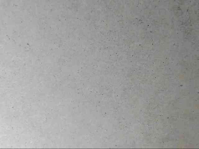 Yuliana-Demon webcam