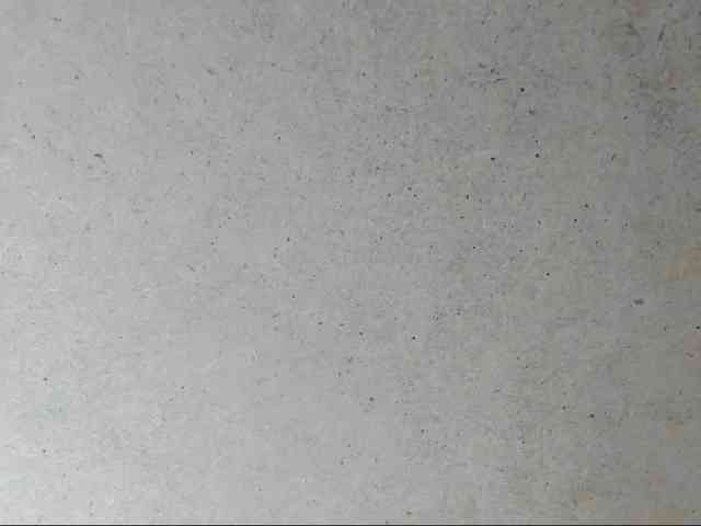 Yuliana-Demon webcam