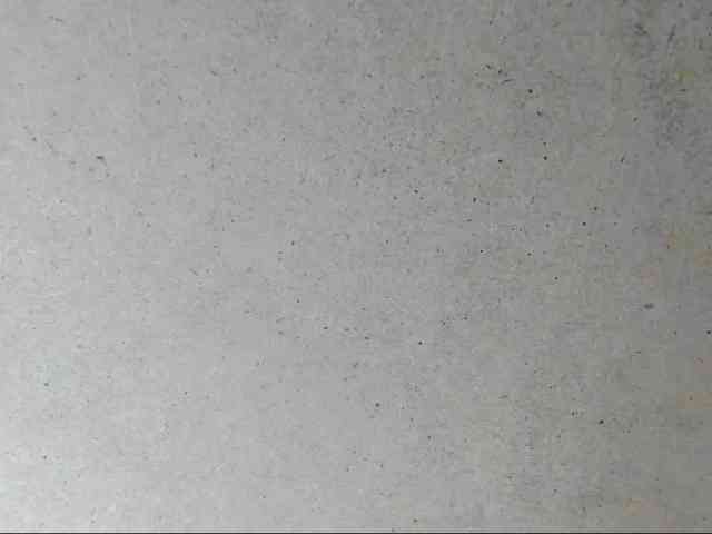 Yuliana-Demon webcam