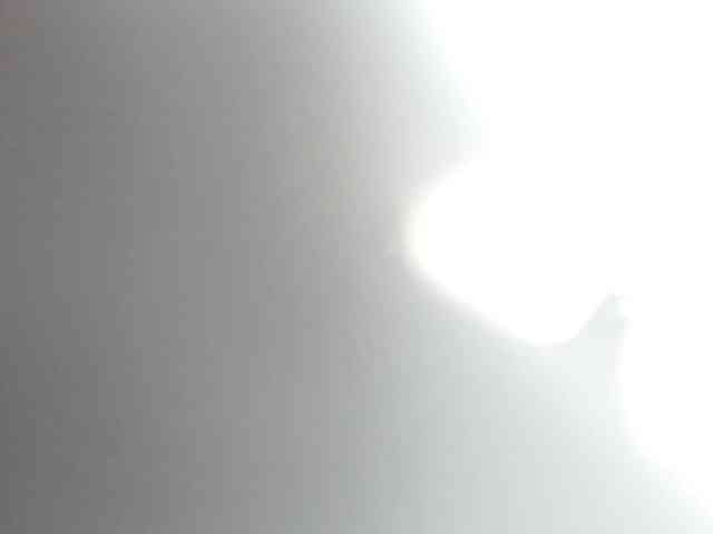 Yuliana-Demon webcam