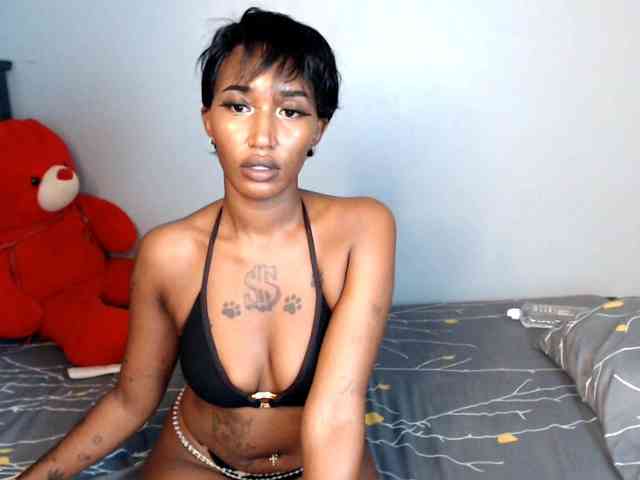 MidnightBloom webcam
