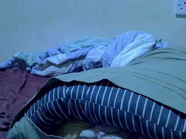 princess-scovia princess-scovia