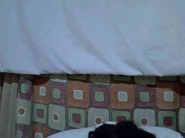 princess-scovia webcam