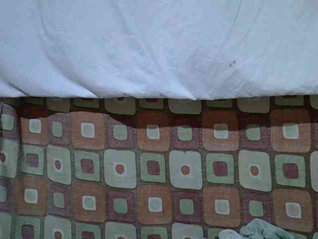 princess-scovia webcam