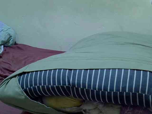 princess-scovia princess-scovia