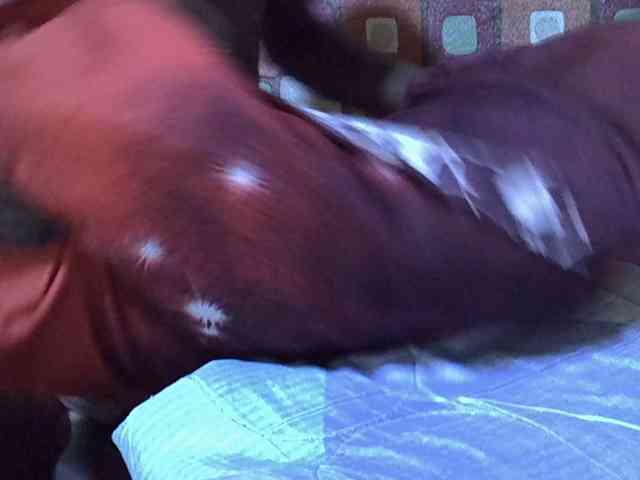 princess-scovia webcam