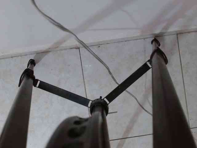 wildsexforyou webcam