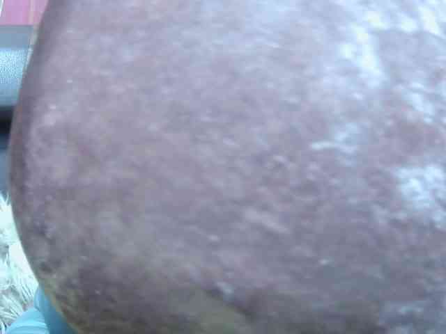 BellaLove webcam
