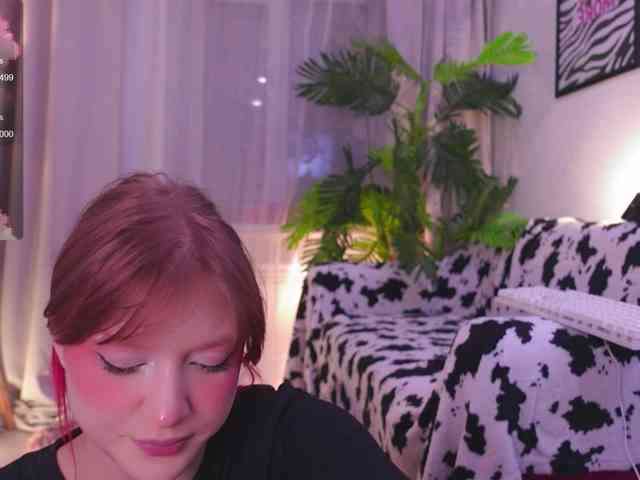 CrazyWine webcam
