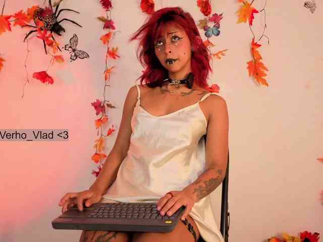 VERHOVLAD webcam