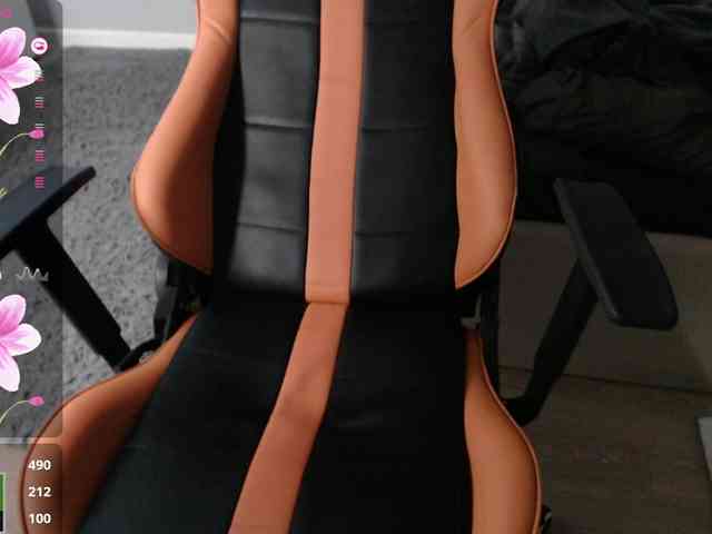 crystalyss webcam