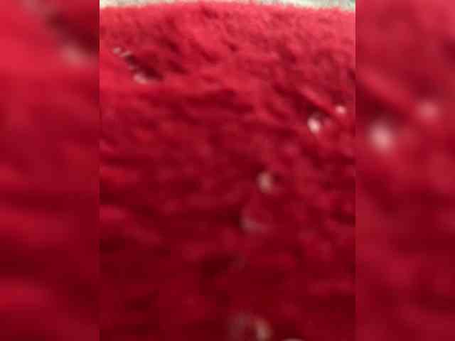 Ella-Pearlie webcam