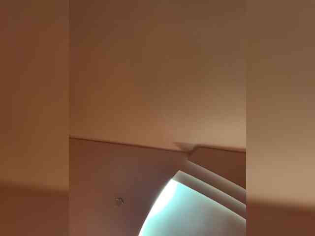 Ella-Pearlie webcam