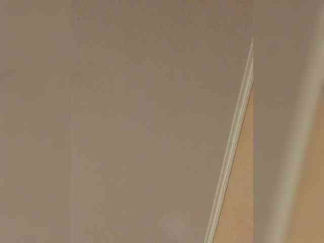 Ella-Pearlie webcam