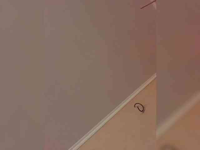 Ella-Pearlie webcam