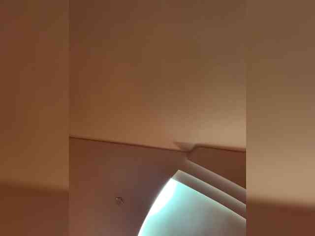 Ella-Pearlie webcam
