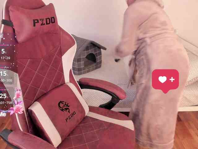 DominaDeivis DominaDeivis