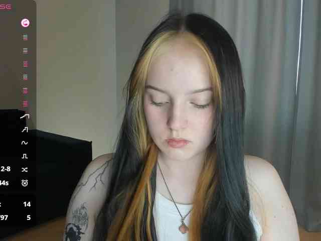 salamipizza webcam
