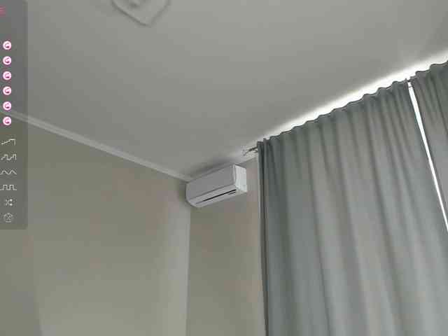 salamipizza webcam